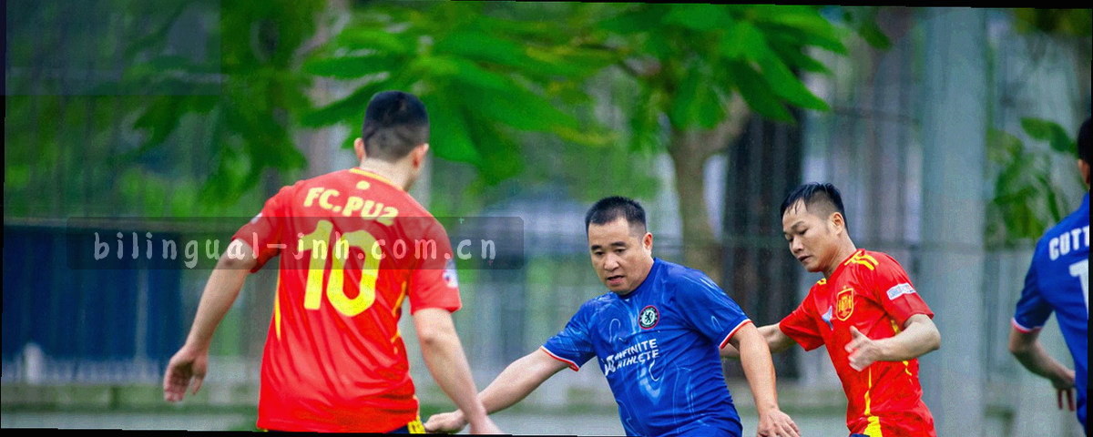 三张会员权益卡片平铺俯拍，卡面印有档位编号与权益条目